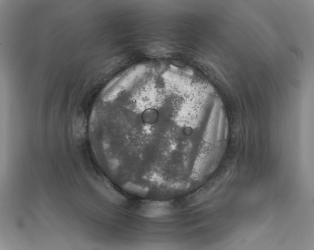 X0000112010081200908241503