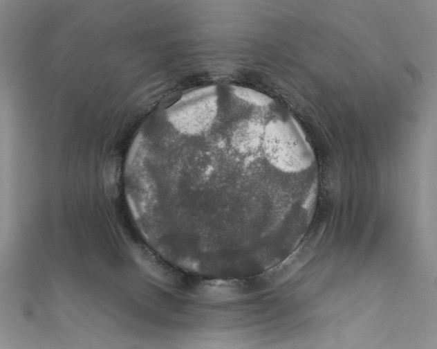 X0000112010082200908241503