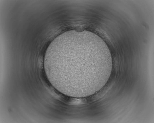 X0000112010083200908241503