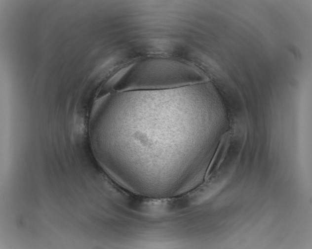 X0000112010084200908241504