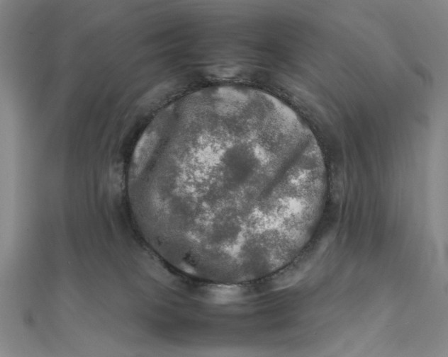 X0000112010085200908241504