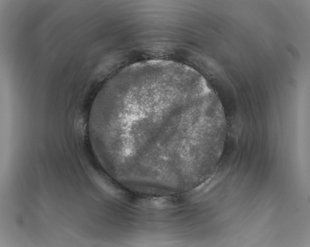 X0000112010086200908241504