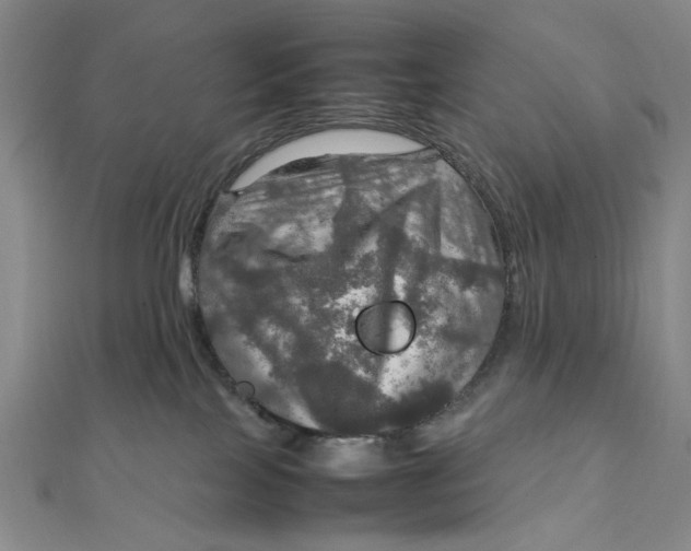 X0000112010089200908241504