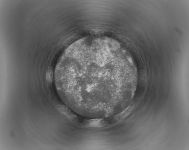 X0000112010090200908241504