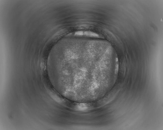X0000112010091200908241504