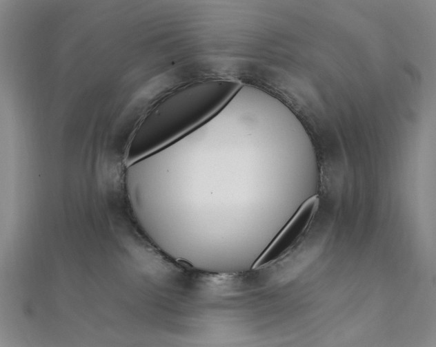 X0000112010092200908241504