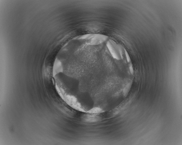 X0000112010093200908241504