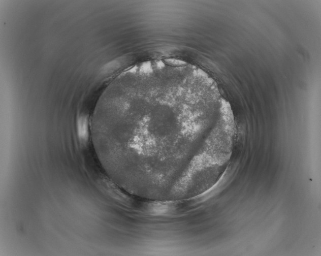 X0000112010094200908241504
