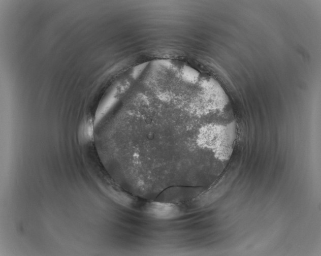 X0000112010095200908241504