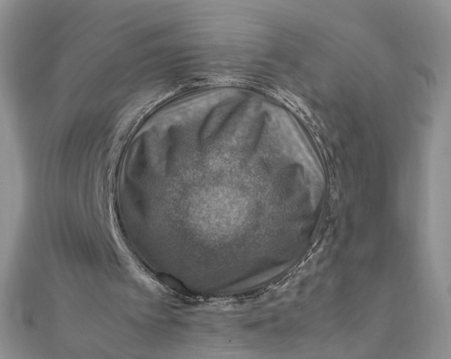 X0000112010097200908241503