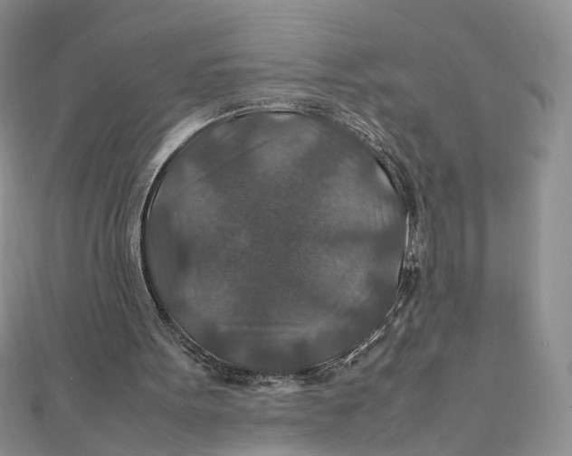 X0000112010099200908241503