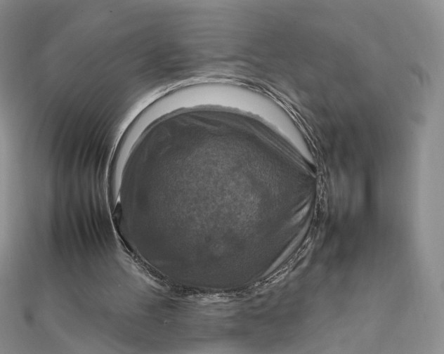 X0000112010100200908241503