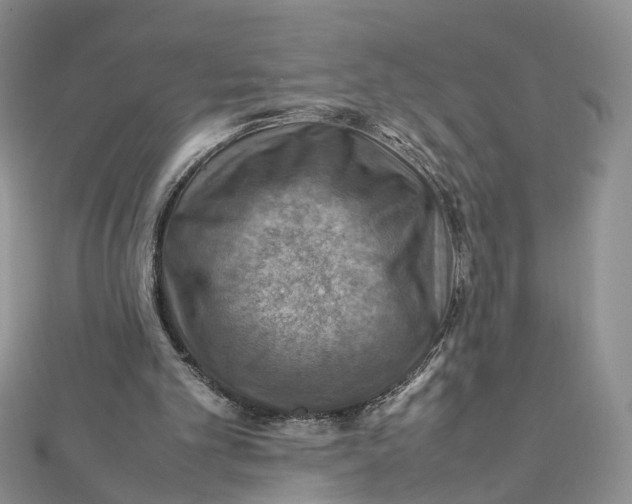 X0000112010101200908241503