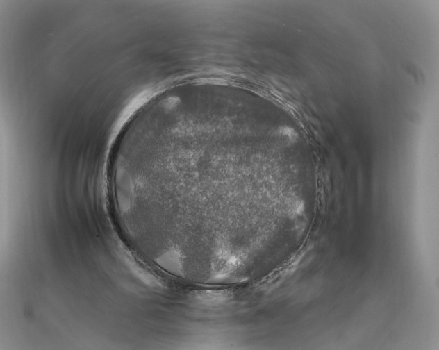 X0000112010102200908241503