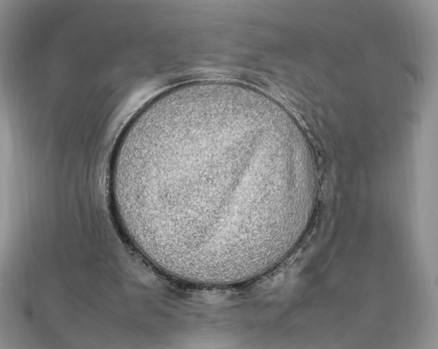 X0000112010103200908241503