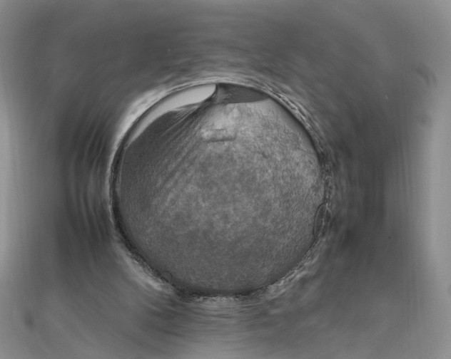 X0000112010104200908241503