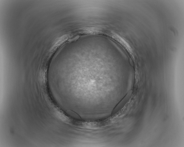 X0000112010105200908241503