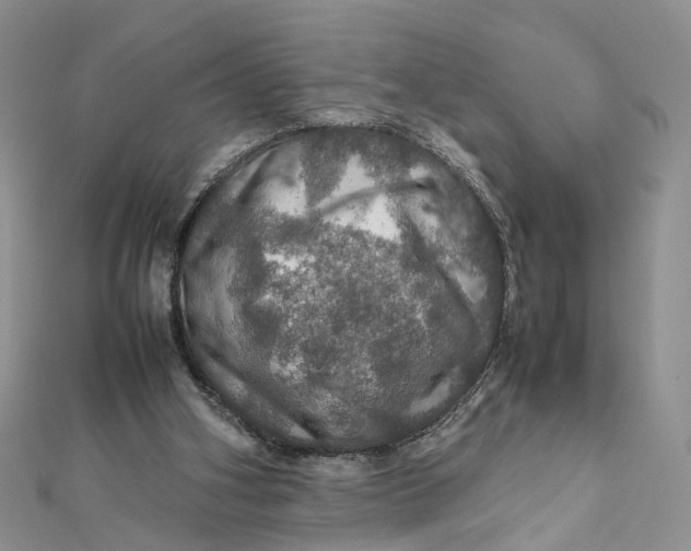 X0000112010106200908241503