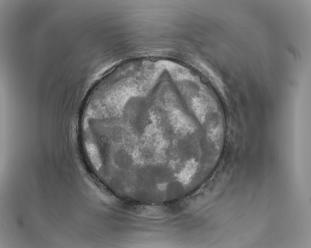X0000112010107200908241503