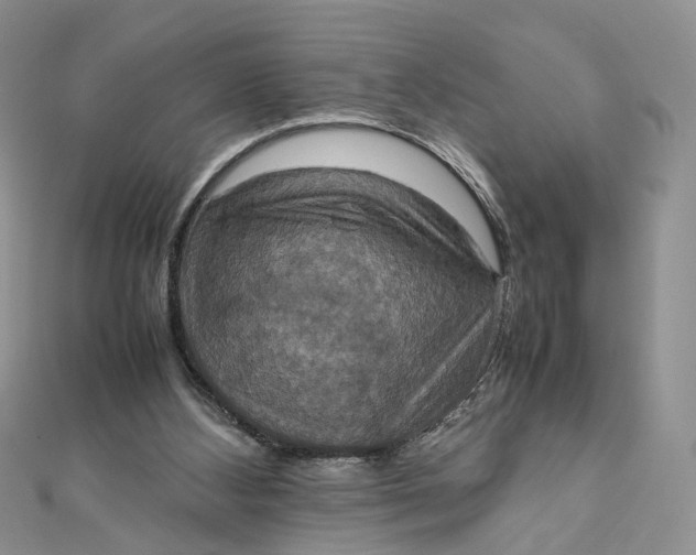 X0000112010108200908241503