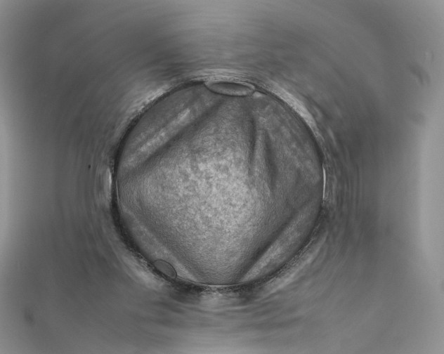 X0000112010109200908241503