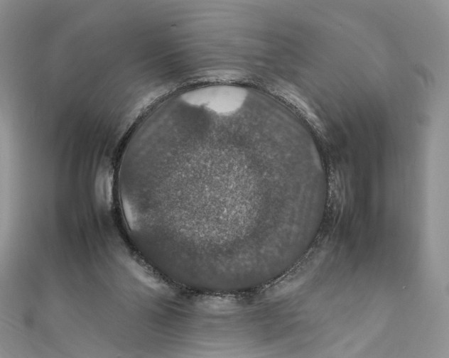 X0000112010110200908241503