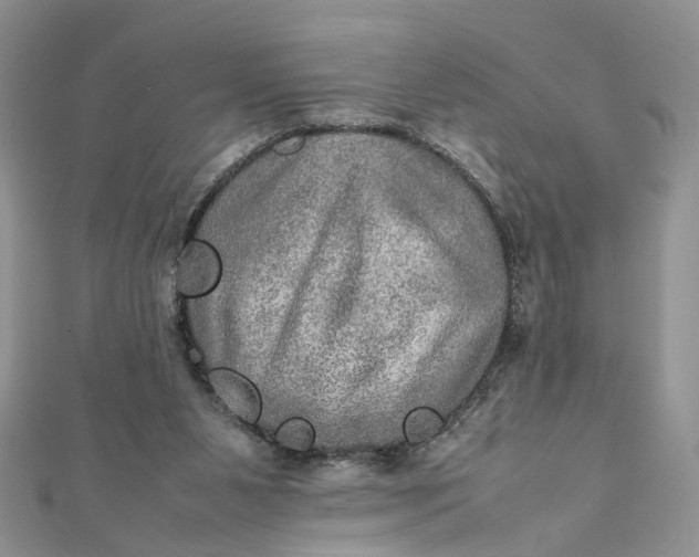 X0000112010111200908241503
