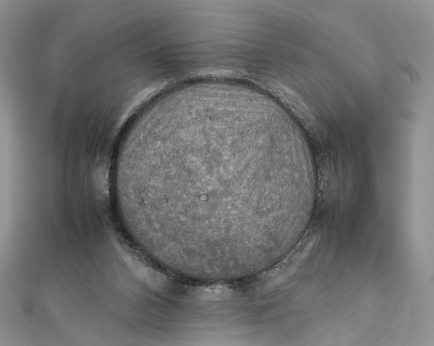 X0000112010112200908241503