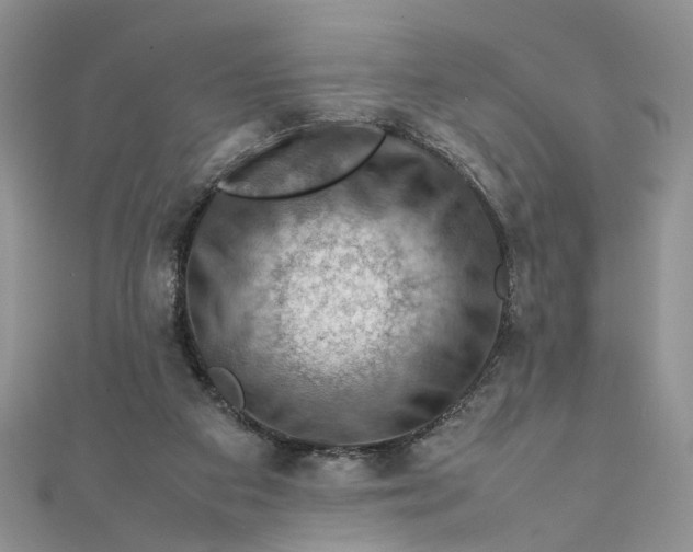 X0000112010113200908241503