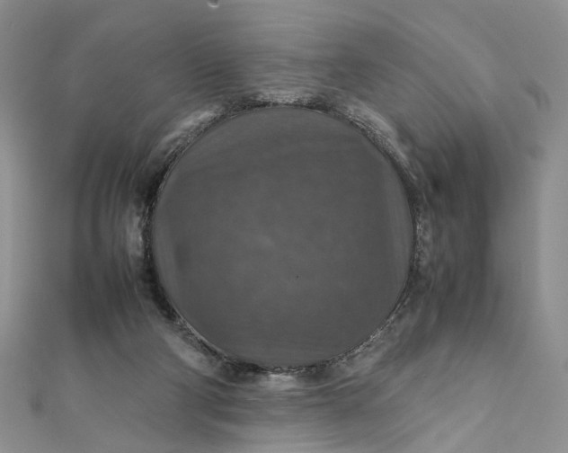 X0000112010114200908241503