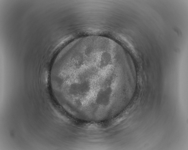 X0000112010115200908241503