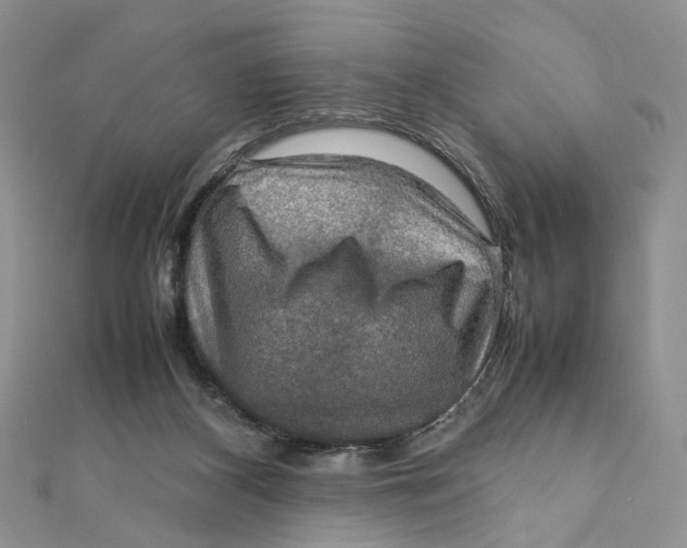 X0000112010116200908241503