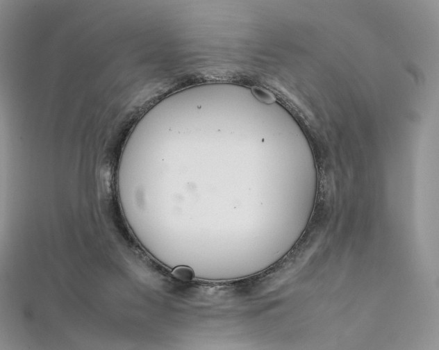 X0000112010117200908241503