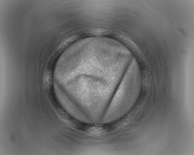 X0000112010119200908241503