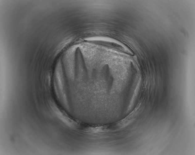X0000112010120200908241503
