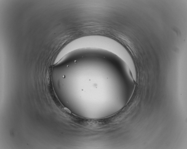 X0000112010121200908241503