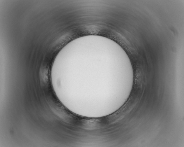 X0000112010122200908241503