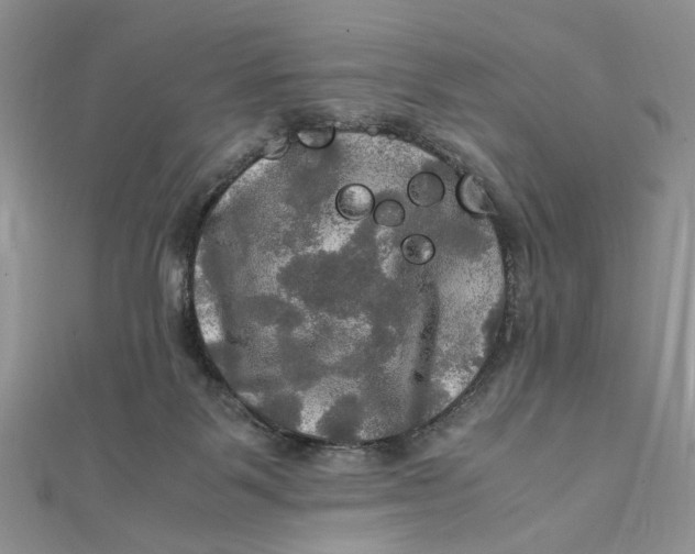 X0000112010123200908241503