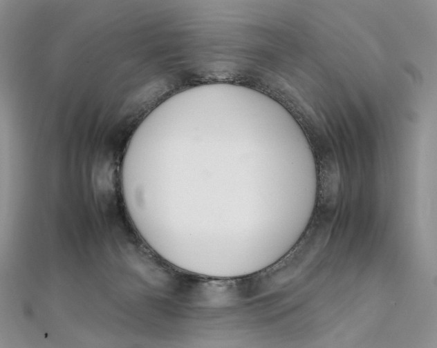 X0000112010126200908241503