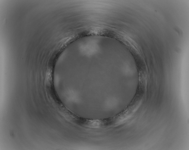 X0000112010127200908241503