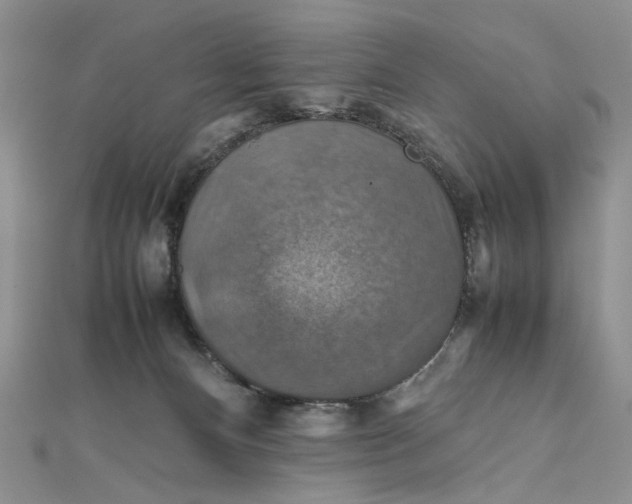 X0000112010128200908241503