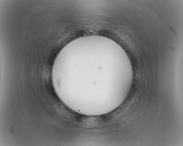 X0000112010129200908241503
