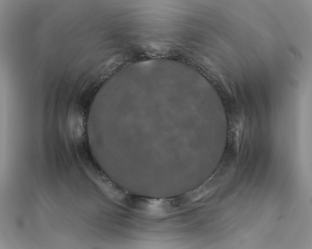 X0000112010130200908241503