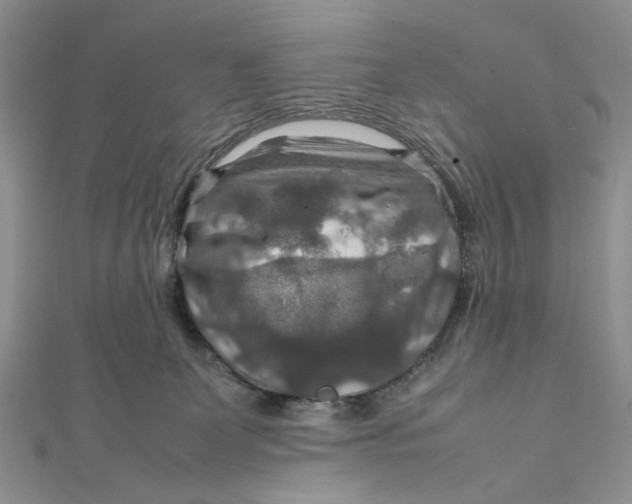 X0000112010131200908241503