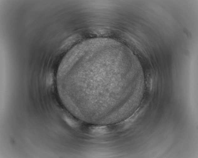 X0000112010132200908241503