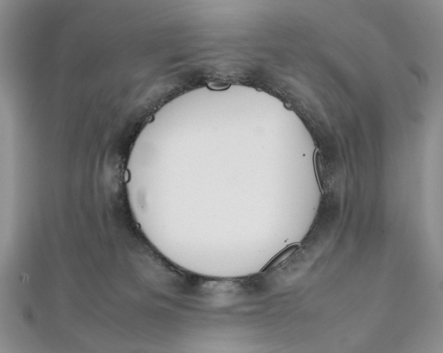 X0000112010133200908241503
