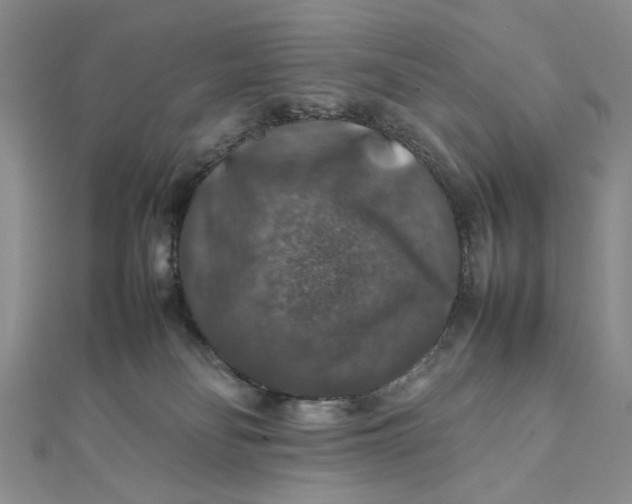 X0000112010134200908241503