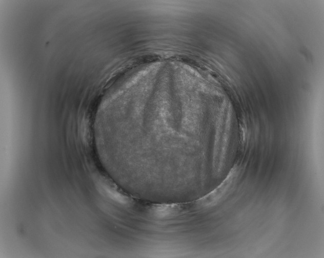 X0000112010136200908241503