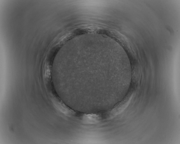 X0000112010137200908241503