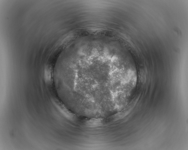 X0000112010138200908241503